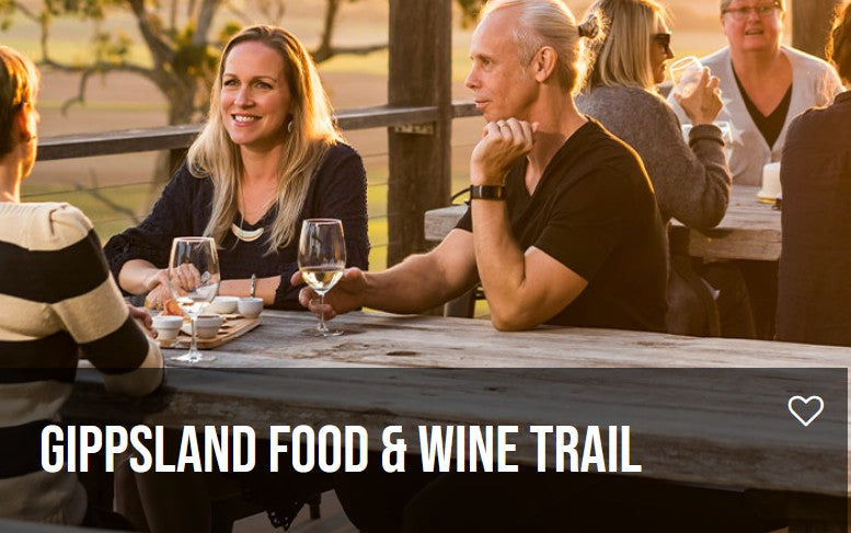 Picture of people drinking in outdoor setting